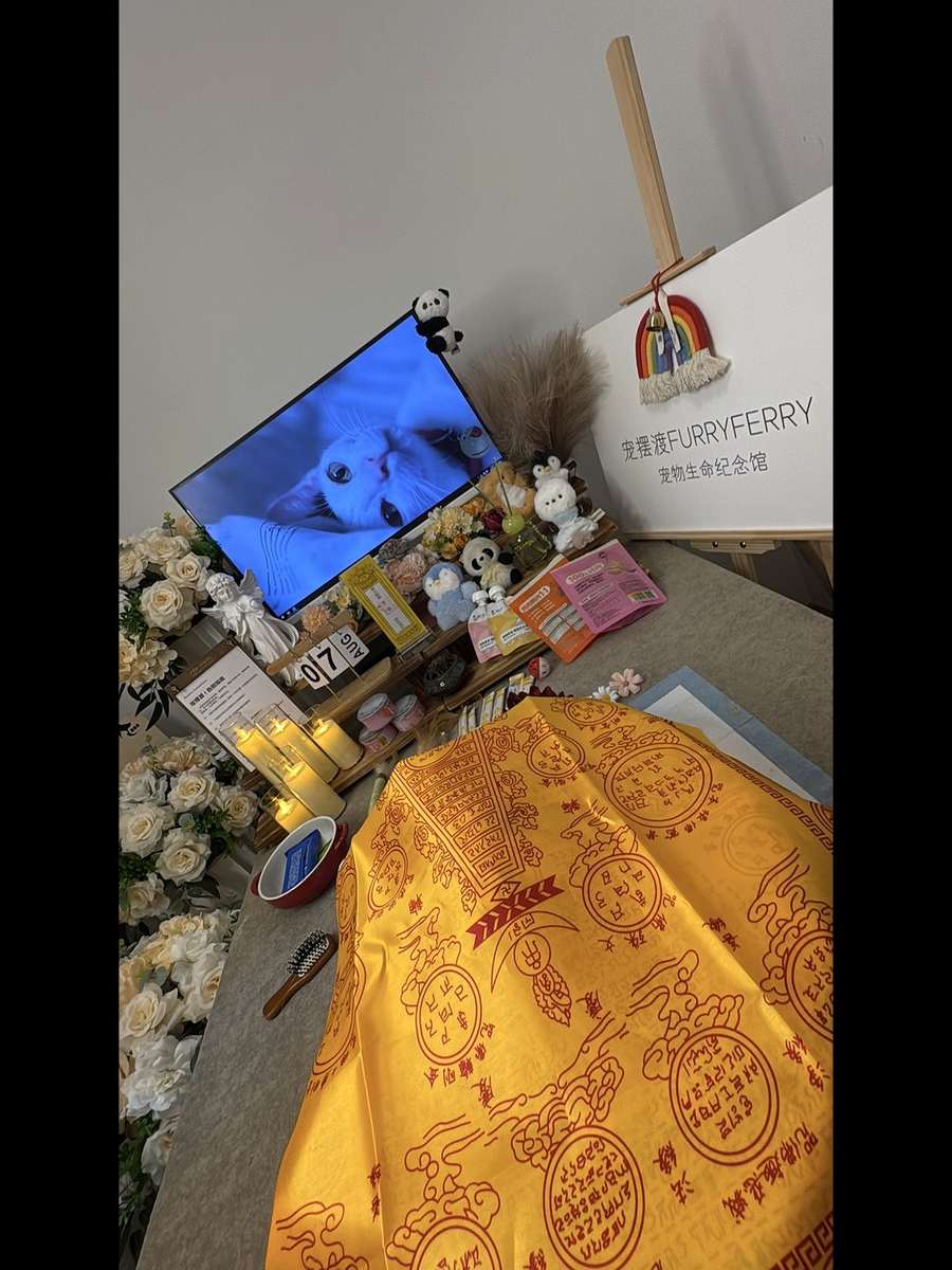 宠物告别仪式