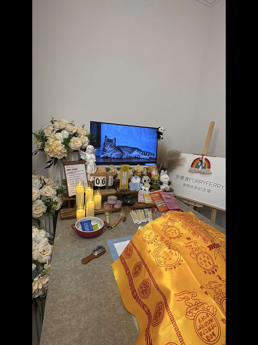 临沂宠物殡葬告别厅实景