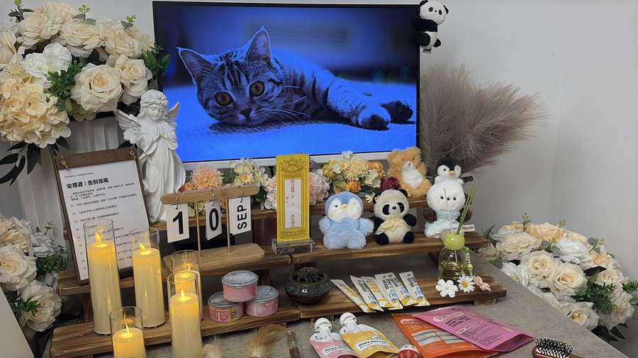 临沂宠物单独火化